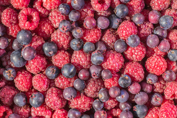 fresh raspberry background