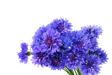 Blue cornflower bouquet