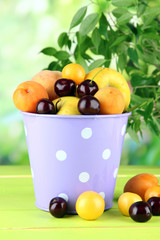 Bright summer fruits in pail