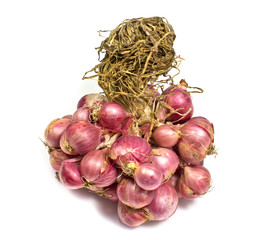 Shallot onions in a group isolated over white background
