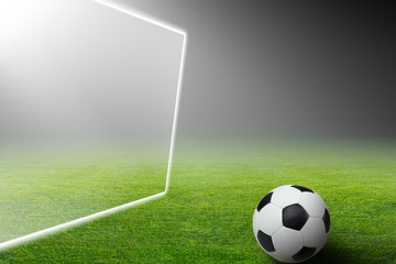 Fototapeta na wymiar Soccer ball, goal, spotlight