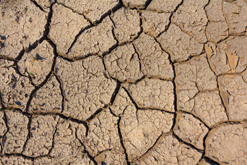 dry cracked earth background