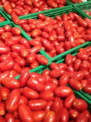 pomodori