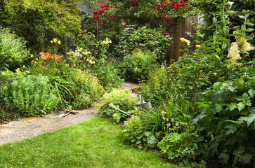 Garden work on summer morning