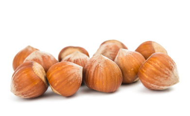 hazel nut isolated