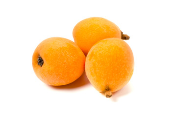 ビワ-Eriobotrya japonica