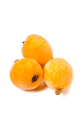 ビワ-Eriobotrya japonica