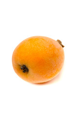 ビワ-Eriobotrya japonica