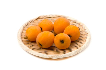 ビワ-Eriobotrya japonica