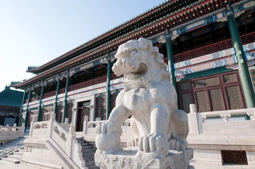  Lion statue in front of the National Library of China in Beijing © Fotokon