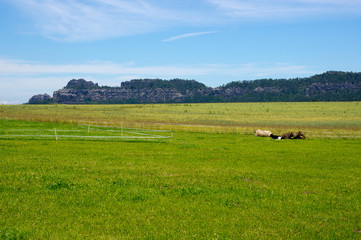 Fototapeta premium Rural landscape in Saxon Switzerland