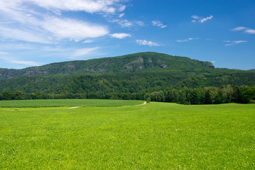 Landscape of cultivated plants in Saxon Switzerland