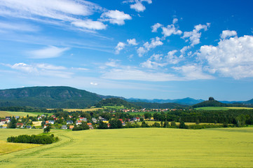 Fototapeta na wymiar Landscape of cultivated plants in Saxon Switzerland
