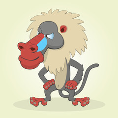 Baboon