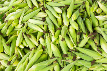 Thai sweet corn