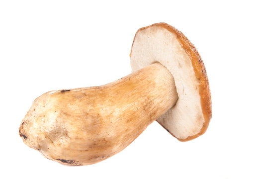 cep isolated