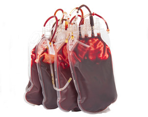 bag of blood isolated