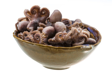 Boiled Octopus