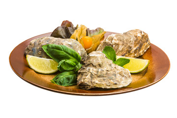 Fresh oyster