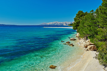 Beautiful Adriatic Sea bay with pines in Croatia - obrazy, fototapety, plakaty