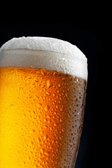 glass of beer on dark blue background
