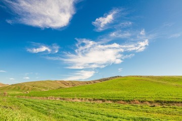 Fototapeta premium green field and blue sky