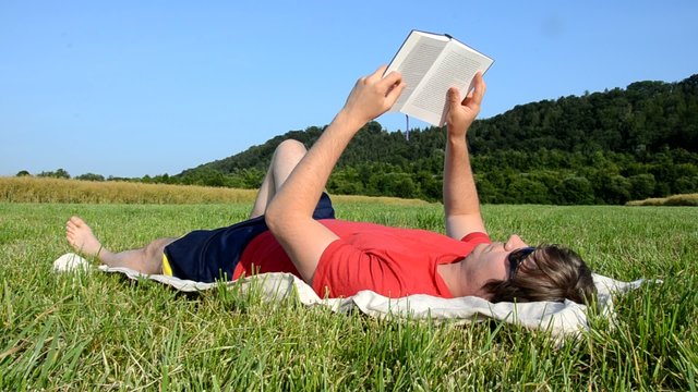 Buch Wiese Person Lesen