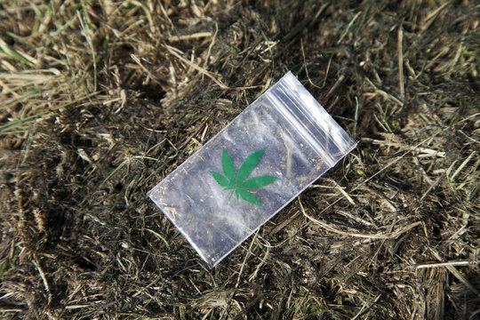 Hanf und Haschisch Beutel mit Drogen