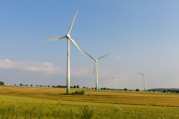 Wind engines with wild meadow and wheat field