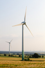 Fototapeta premium Wind engines between corn field and wood