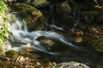 Fototapeta na wymiar Mountain stream