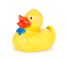 Rubber duck toy