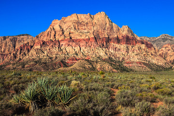 Red Rock Canyon Conservation Area