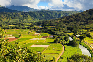 Fototapeta na wymiar Dolina w Kauai hanalei