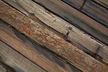 Wood