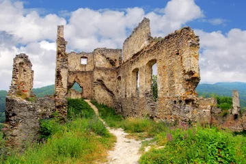 Papier Peint photo Rudnes Ruine du château - Povazsky hrad, Slovaquie
