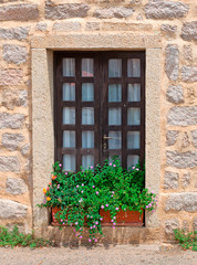 Fototapeta na wymiar flowers and window