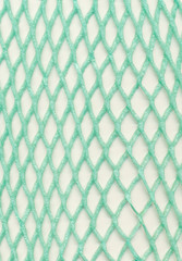 Plastic mesh