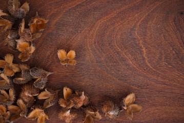 beechnut frame on wooden background