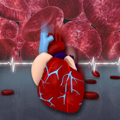 Digital illustration of human heart in medical background