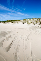 Dünenlandschaft Noderney, Deutschland