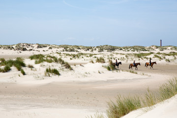 Reiter in den Dünen von Norderney