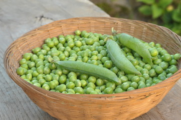 pois merveille de Kelvedon