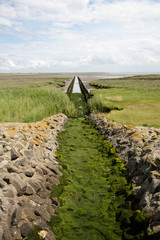 Naturlandschaft auf Norderney, Deutschland