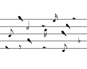 bird music note