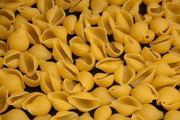 Conchigle