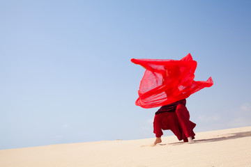 flamenco in the dunes