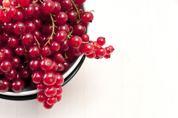 Red currants on white background