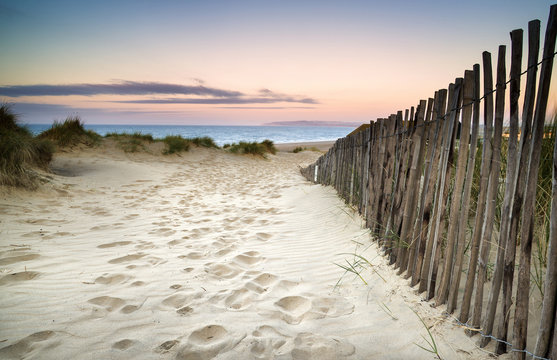 Fototapeta Trawiasty piasek diun krajobraz przy wschodem słońca