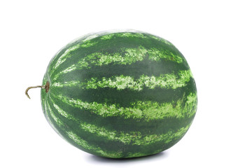 Water melon on a white background